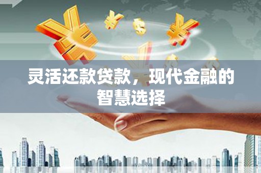 宁乡灵活还款贷款，现代金融的智慧选择