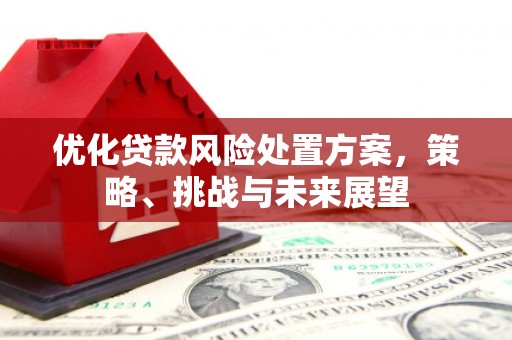 宁乡优化贷款风险处置方案，策略、挑战与未来展望