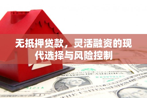 宁乡无抵押贷款，灵活融资的现代选择与风险控制