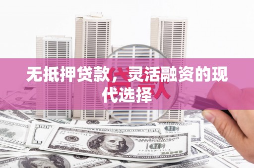宁乡无抵押贷款，灵活融资的现代选择