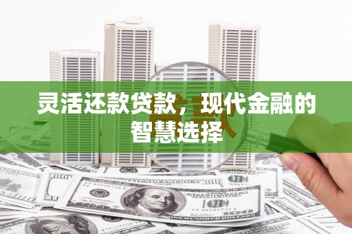 宁乡灵活还款贷款，现代金融的智慧选择
