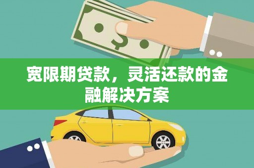 宁乡宽限期贷款，灵活还款的金融解决方案