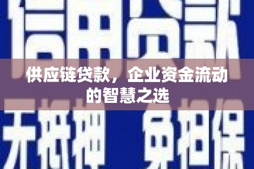 宁乡供应链贷款，企业资金流动的智慧之选