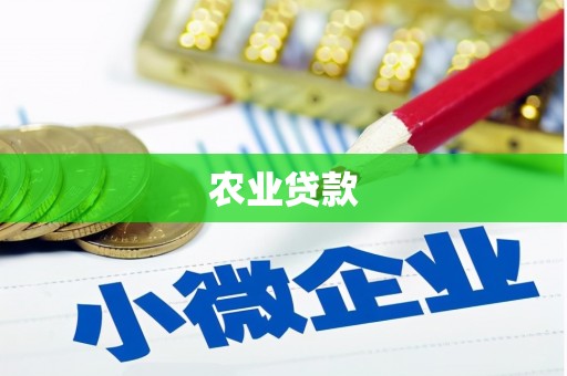 宁乡农业贷款