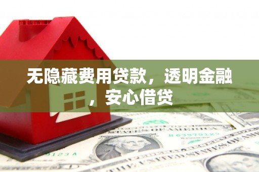 宁乡无隐藏费用贷款，透明金融，安心借贷