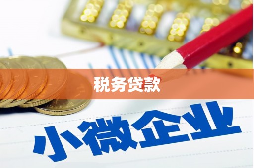 宁乡税务贷款