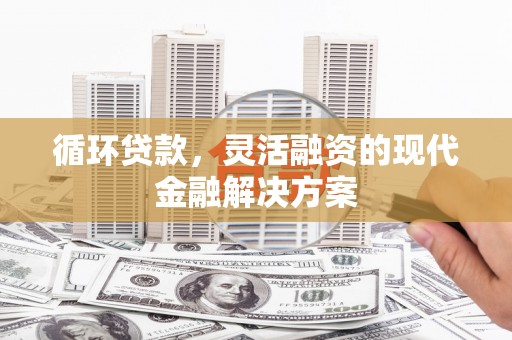 宁乡循环贷款，灵活融资的现代金融解决方案