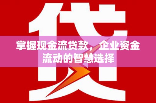 宁乡掌握现金流贷款，企业资金流动的智慧选择