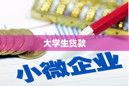 宁乡大学生贷款