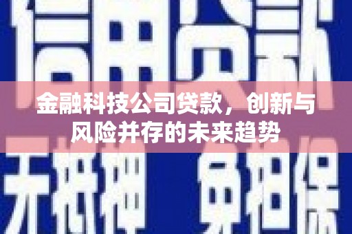 宁乡金融科技公司贷款，创新与风险并存的未来趋势