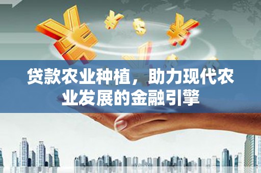 宁乡贷款农业种植，助力现代农业发展的金融引擎