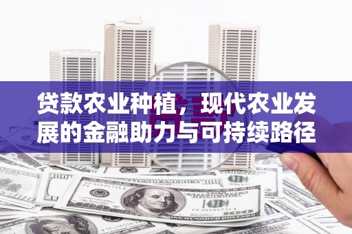 宁乡贷款农业种植，现代农业发展的金融助力与可持续路径