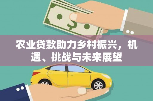 宁乡农业贷款助力乡村振兴，机遇、挑战与未来展望