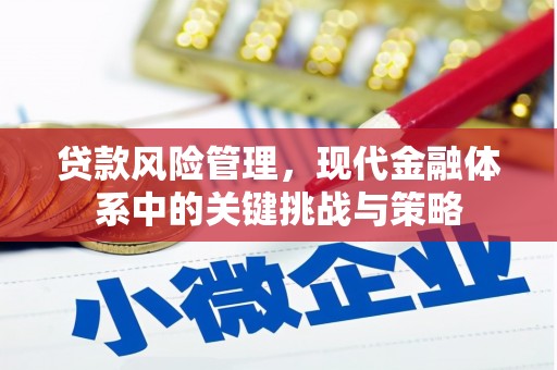 宁乡贷款风险管理，现代金融体系中的关键挑战与策略