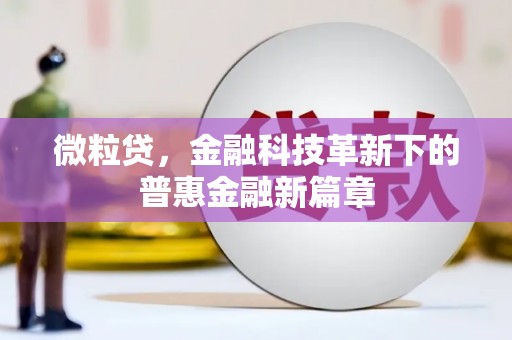 宁乡微粒贷，金融科技革新下的普惠金融新篇章