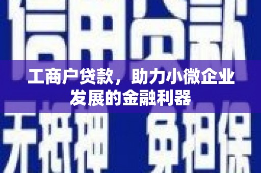宁乡工商户贷款，助力小微企业发展的金融利器