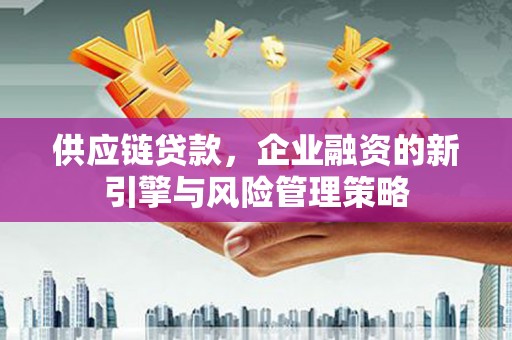 宁乡供应链贷款，企业融资的新引擎与风险管理策略