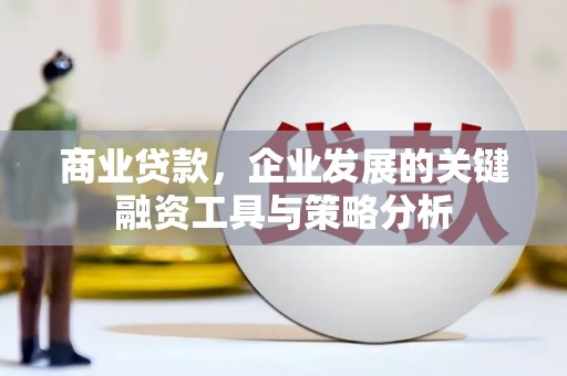 宁乡商业贷款，企业发展的关键融资工具与策略分析