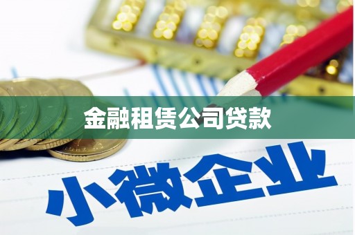 宁乡金融租赁公司贷款