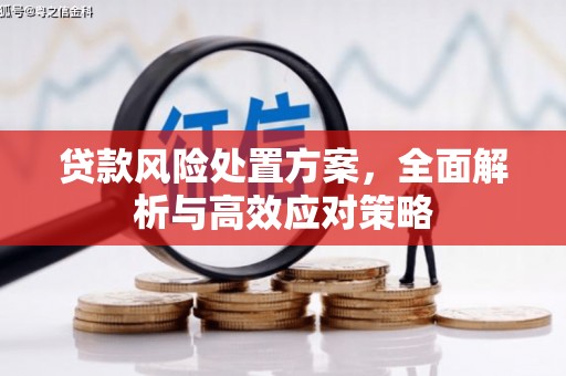 宁乡贷款风险处置方案，全面解析与高效应对策略