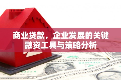 宁乡商业贷款，企业发展的关键融资工具与策略分析