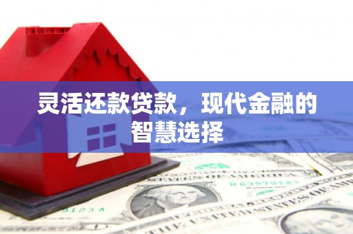 宁乡灵活还款贷款，现代金融的智慧选择