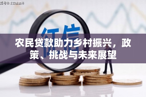 宁乡农民贷款助力乡村振兴，政策、挑战与未来展望