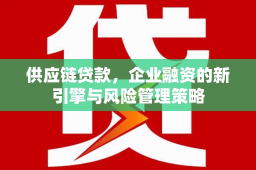 宁乡供应链贷款，企业融资的新引擎与风险管理策略