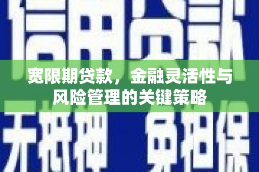 宁乡宽限期贷款，金融灵活性与风险管理的关键策略