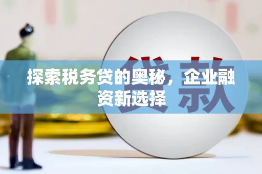 宁乡探索税务贷的奥秘，企业融资新选择