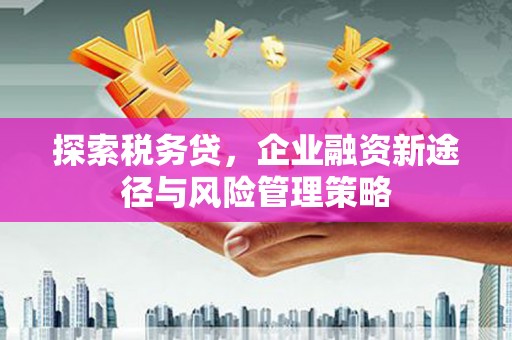 宁乡探索税务贷，企业融资新途径与风险管理策略