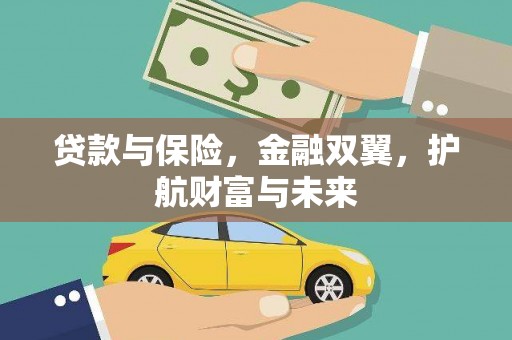 宁乡贷款与保险，金融双翼，护航财富与未来