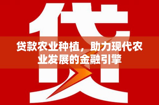 宁乡贷款农业种植，助力现代农业发展的金融引擎