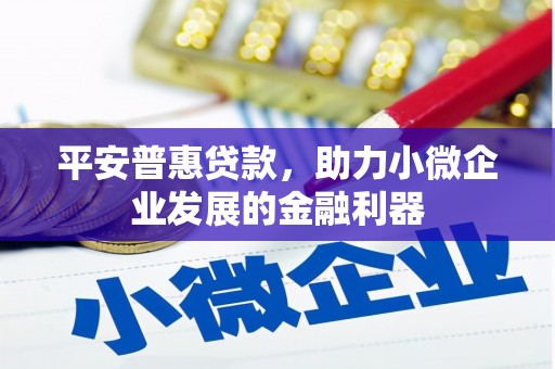 宁乡平安普惠贷款，助力小微企业发展的金融利器