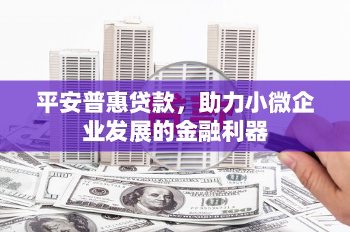 宁乡平安普惠贷款，助力小微企业发展的金融利器