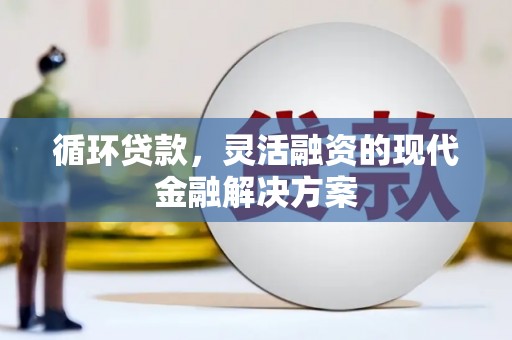 宁乡循环贷款，灵活融资的现代金融解决方案
