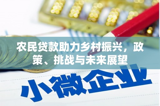 宁乡农民贷款助力乡村振兴，政策、挑战与未来展望