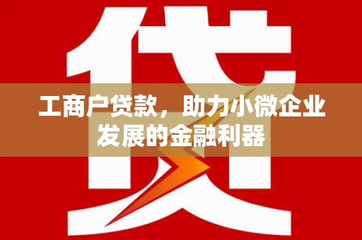 宁乡工商户贷款，助力小微企业发展的金融利器