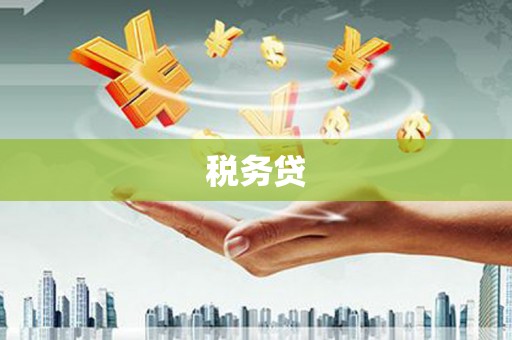 宁乡税务贷