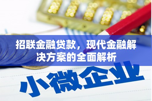 宁乡招联金融贷款，现代金融解决方案的全面解析