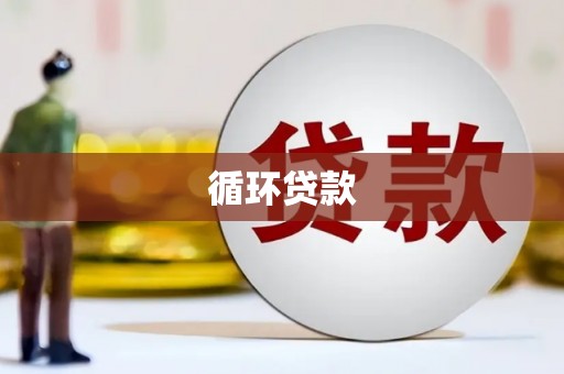 宁乡循环贷款