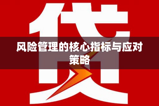 宁乡风险管理的核心指标与应对策略