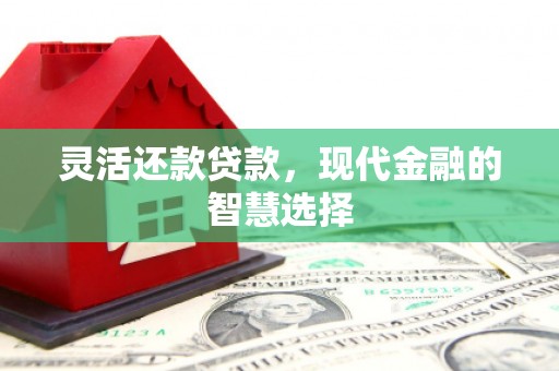 宁乡灵活还款贷款，现代金融的智慧选择