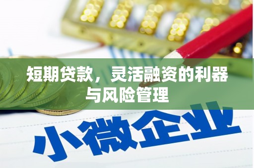 宁乡短期贷款，灵活融资的利器与风险管理