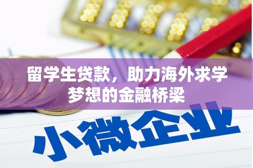 宁乡留学生贷款，助力海外求学梦想的金融桥梁