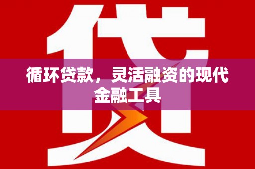 宁乡循环贷款，灵活融资的现代金融工具