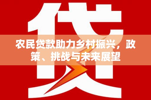 宁乡农民贷款助力乡村振兴，政策、挑战与未来展望