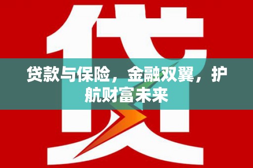 宁乡贷款与保险，金融双翼，护航财富未来