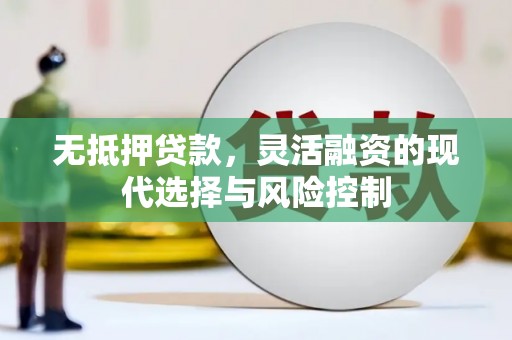 宁乡无抵押贷款，灵活融资的现代选择与风险控制