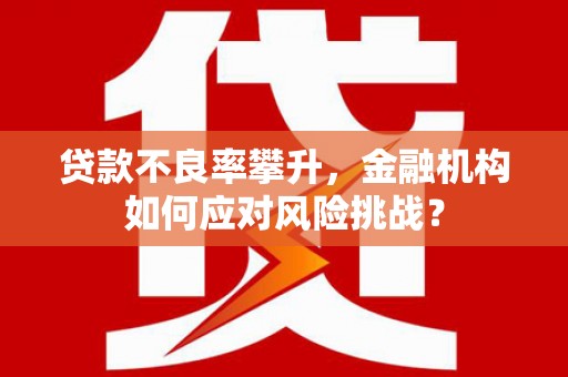 宁乡贷款不良率攀升，金融机构如何应对风险挑战？